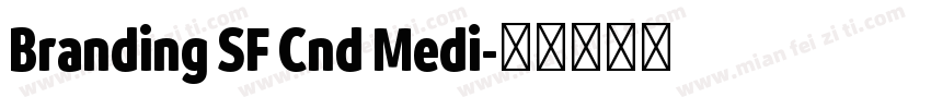 Branding SF Cnd Medi字体转换